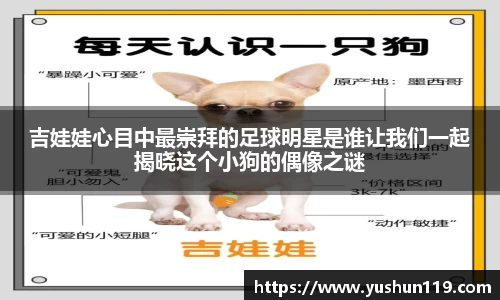 吉娃娃心目中最崇拜的足球明星是谁让我们一起揭晓这个小狗的偶像之谜